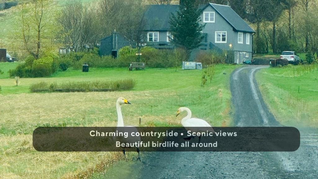 Ásgarður Farm Stay apartment — 5